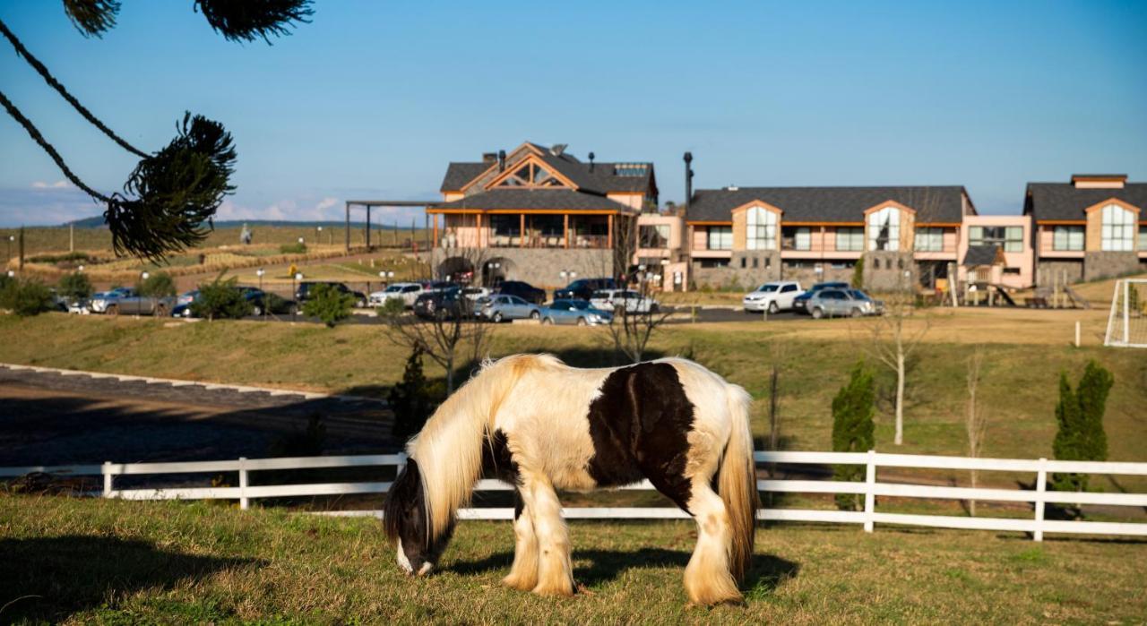 Cerro Azul Hotel Fazenda Capao Alto 外观 照片
